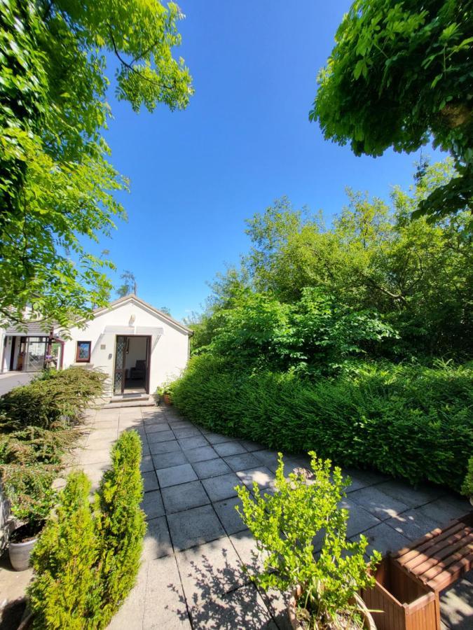 Oak Cottage 3 Km From Rock Of Cashel Cashel  Exterior photo