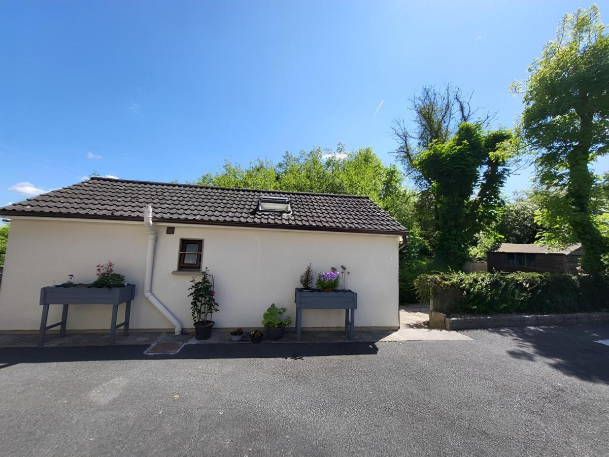Oak Cottage 3 Km From Rock Of Cashel Cashel  Exterior photo